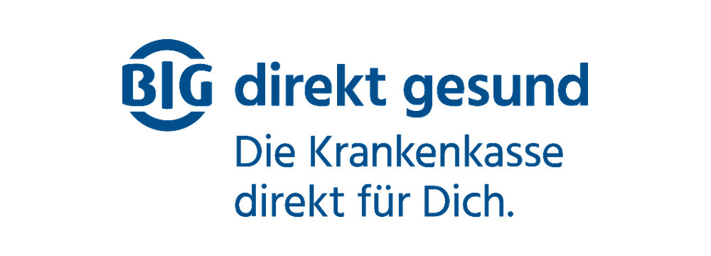 BIG direkt gesund Logo
